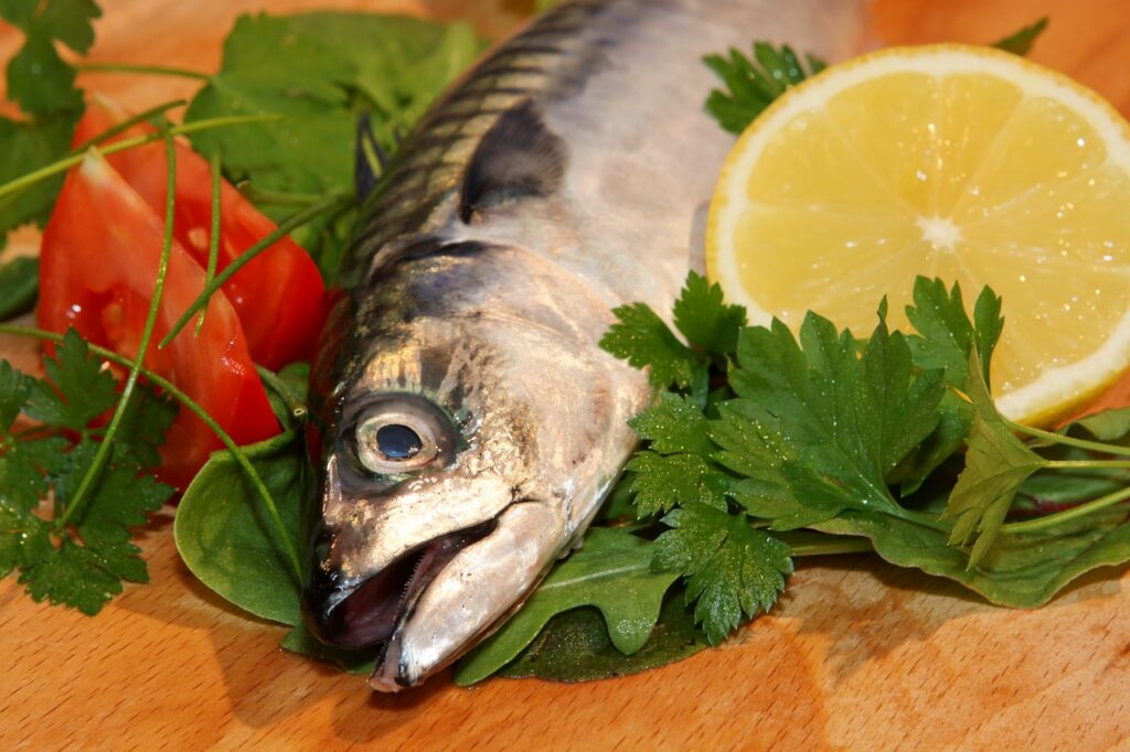 fish, mackerel, food-7651713.jpg